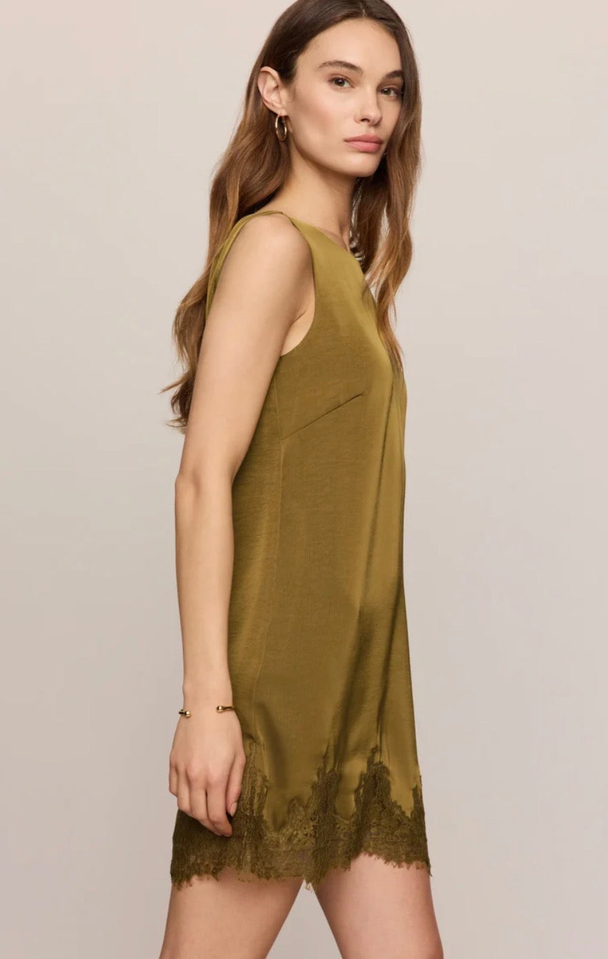 Meadow Muse Lace Mini Dress