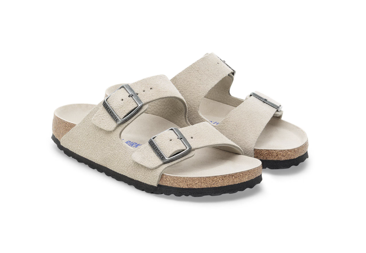 Arizona SFB in Oyster