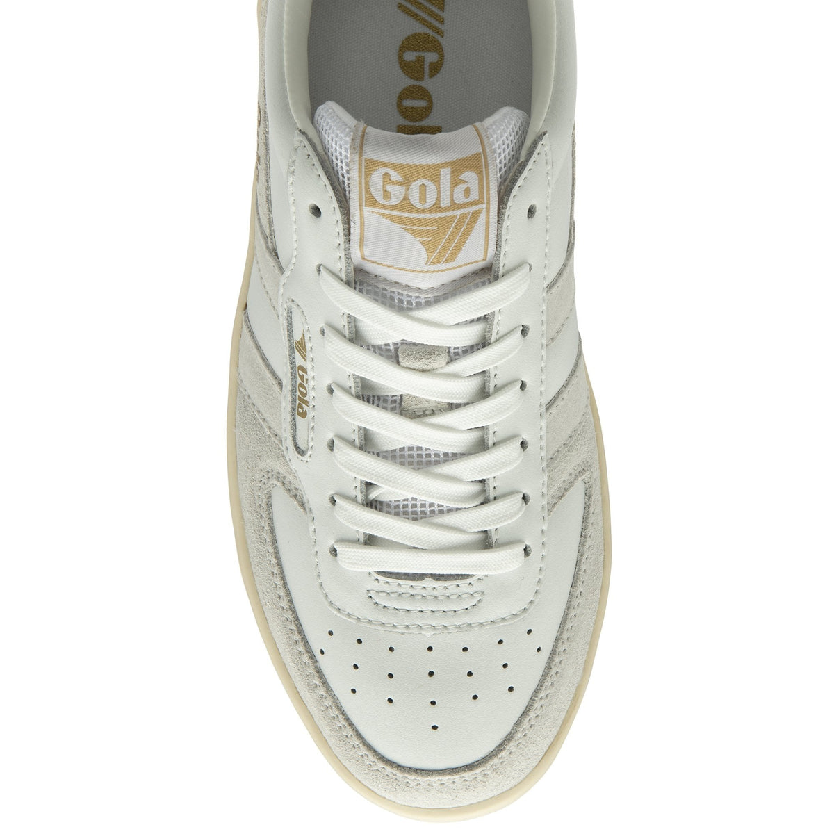 Hawk Sneaker