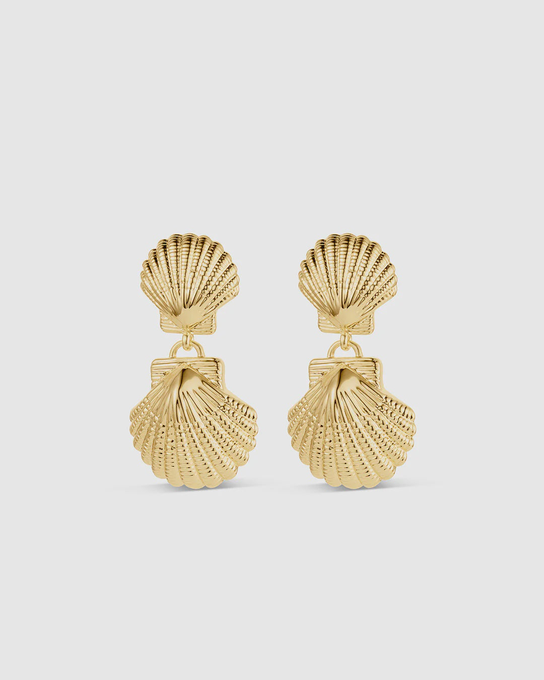 Shell Drop Earrings