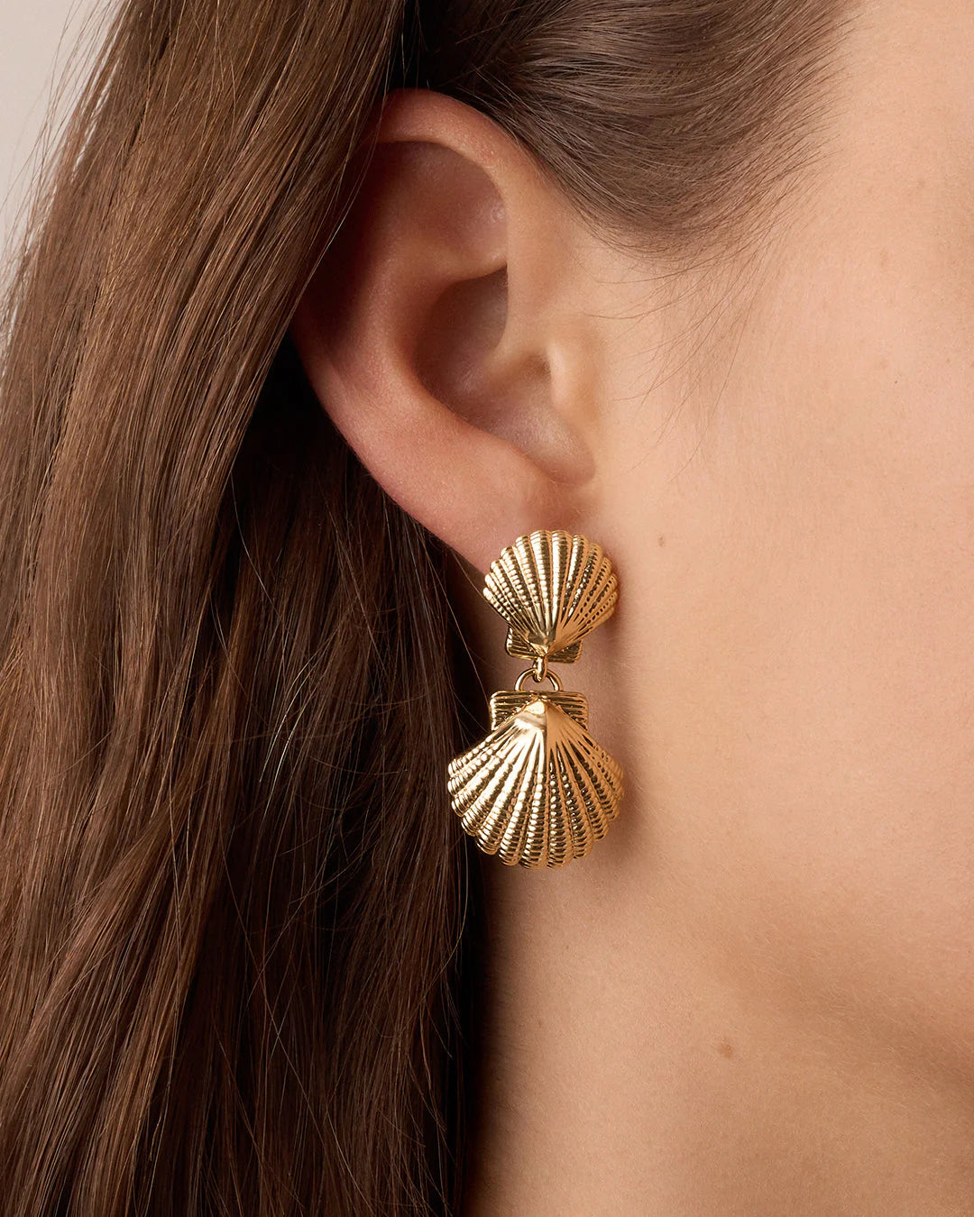 Shell Drop Earrings